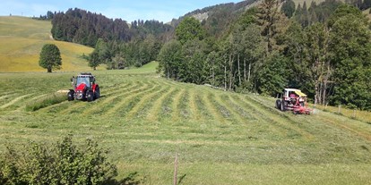 Urlaub auf dem Bauernhof - ideal für: Senioren - Tirol - Unsere beiden Traktoren - Urlaub am Foidlhof