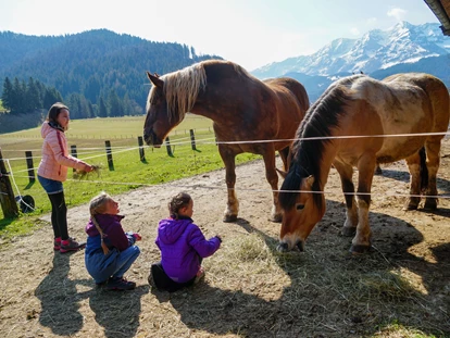 Urlaub auf dem Bauernhof - Mithilfe beim: Tiere füttern - Bsuch - Pferde "Kamilla" und "Kokosch" - Urlaub am Foidlhof