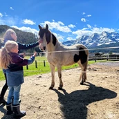 Prázdninová farma - Pferd "Indian" - Urlaub am Foidlhof