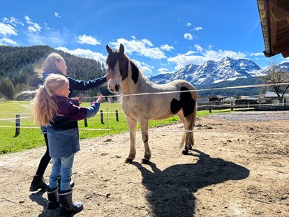 vacanza in fattoria - Jahreszeit: Winter-Urlaub - Pferd "Indian" - Urlaub am Foidlhof