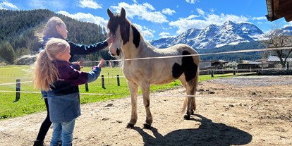Urlaub auf dem Bauernhof - Art der Landwirtschaft: Tierhaltung - Penningberg - Pferd "Indian" - Urlaub am Foidlhof