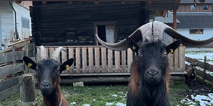 vakantie op de boerderij - Tiere am Hof: Kühe - Erlfeld - Rudolf und Lisl - Auerhof