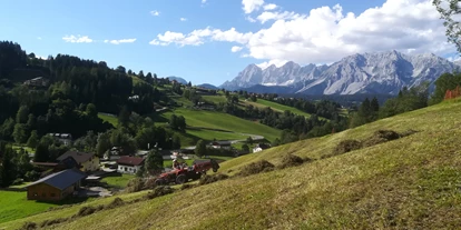 Urlaub auf dem Bauernhof - Art der Landwirtschaft: Tierhaltung - Baierdorf (Schöder) - Heuernte mit Blick auf das Dachsteingebirge - Auerhof