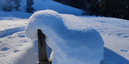 Urlaub auf dem Bauernhof - Fahrzeuge: Balkenmäher - Kempten - Winter in Egg/Ebenwald - Ausblickhof