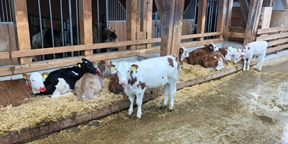 Urlaub auf dem Bauernhof - Tiere am Hof: andere Tierarten - Hütten (Leogang) - Baby-/Kinderbauernhof Stefflhof