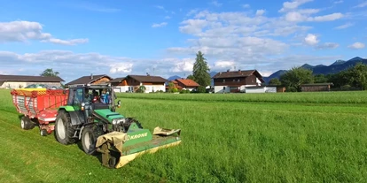Urlaub auf dem Bauernhof - Stromanschluss: für E-Bikes - Traunstein (Landkreis Traunstein) - Buchnerhof