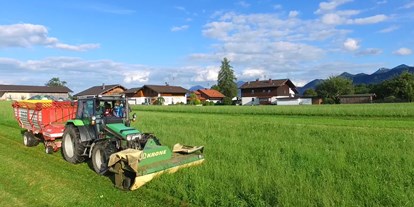 vacanza in fattoria - ideal für: Mitarbeit - Kirchbichl - Buchnerhof