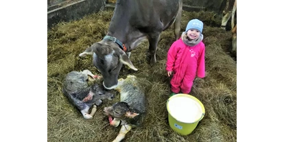 dovolenka na farme - Höslwang - Kuh beim Kalben  - Beim Heiß'n
