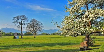 vacanza in fattoria - Jahreszeit: Frühlings-Urlaub - Neubeuern - Blick von der Terrasse bis zum Chiemsee und die südlich gelegenen Alpen - Moier-Hof LEX