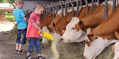 Urlaub auf dem Bauernhof - ideal für: Pärchen - Almdorf (Saalfelden am Steinernen Meer) - Kühe füttern - Holznerhof 