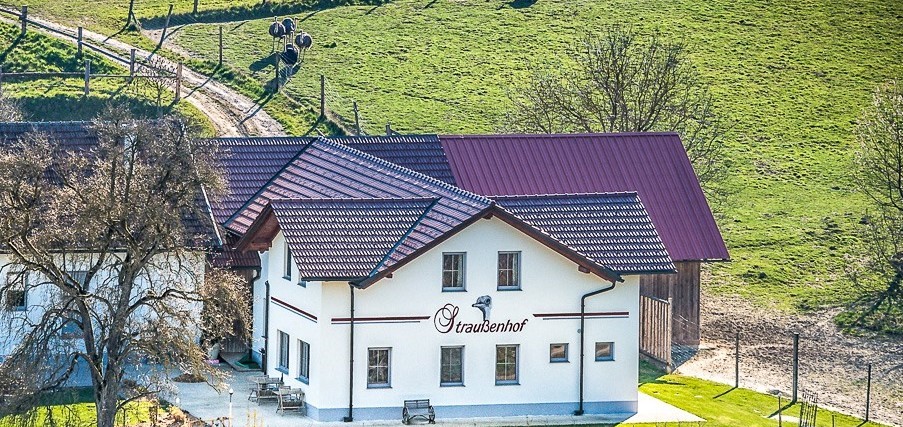 Holiday farm - Straußenhof Halmer