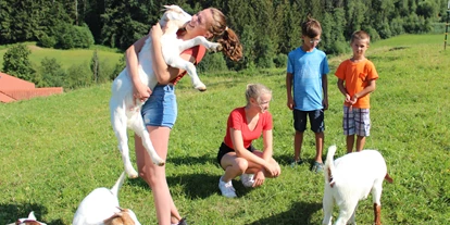 Urlaub auf dem Bauernhof - ideal für: Mitarbeit - Mayrhofen (Saalfelden am Steinernen Meer) - Ziegen des Hofes - Hochgallinger Hof