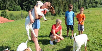 vacation on the farm - Mithilfe beim: Tiere füttern - Hof bei Salzburg - Ziegen des Hofes - Hochgallinger Hof