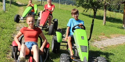 Urlaub auf dem Bauernhof - ideal für: Pärchen - Berndorf bei Salzburg - Berg Tretfahrzeuge für Groß und Klein - Hochgallinger Hof