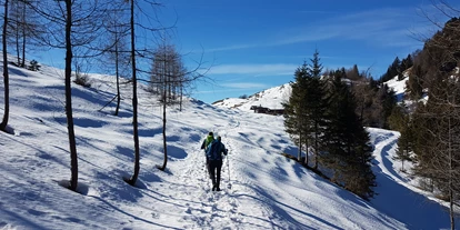 Urlaub auf dem Bauernhof - Mithilfe beim: Tiere füttern - Bsuch - Winter Skifahren, Langlaufen oder Wanderungen im Schnee - Hochgallinger Hof