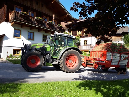 Urlaub auf dem Bauernhof - Brötchenservice - Wimberg (Adnet) - Heuernte  - Stranger Leitengut-Eckwald