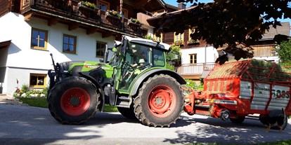 Urlaub auf dem Bauernhof - Jahreszeit: Winter-Urlaub - Ramsau am Dachstein - Heuernte  - Stranger Leitengut-Eckwald