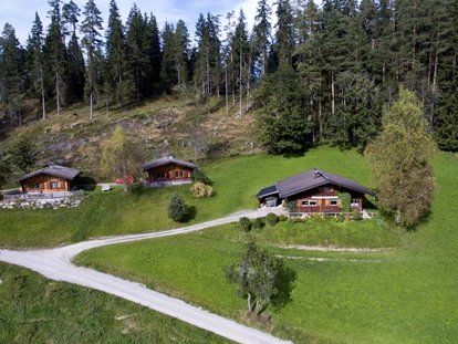 Urlaub auf dem Bauernhof - ideal für: Mitarbeit - Mayrhofen (Saalfelden am Steinernen Meer) - Eckwaldhütten Traumlage oberhalb des Bauernhofes - Stranger Leitengut-Eckwald