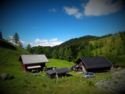 Urlaub auf dem Bauernhof - ideal für: Mitarbeit - Mayrhofen (Saalfelden am Steinernen Meer) -   Leitenalm  - Stranger Leitengut-Eckwald