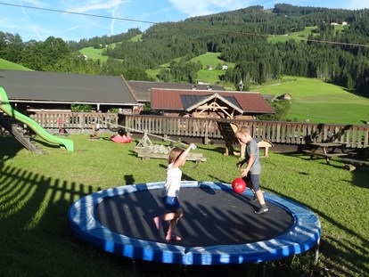 vacanza in fattoria - Tiere am Hof: Hühner - Salzburger Sportwelt - Stranger Leitengut-Eckwald