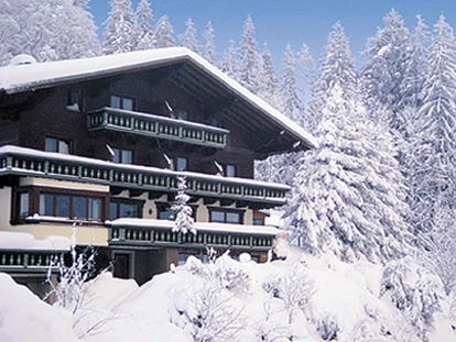 vacation on the farm - Umgebung: Urlaub in den Wäldern - Ramsau am Dachstein - Gappmaier Köpferbauer