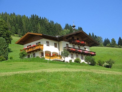 vacation on the farm - Umgebung: Urlaub in den Wäldern - Bad Gastein - Scharfetter Seetalgut