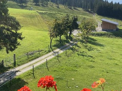 vacation on the farm - PLZ 5760 (Österreich) - Egglbauer