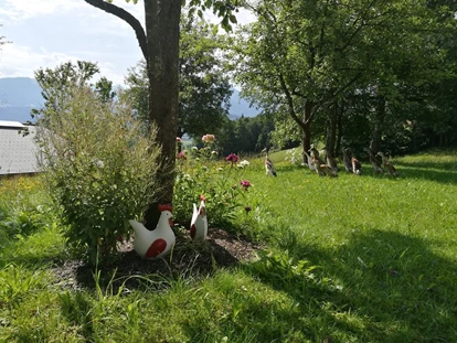 vacanza in fattoria - Eben (Großarl) - Schartlhof