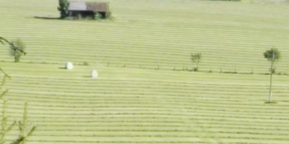 Urlaub auf dem Bauernhof - Art der Landwirtschaft: Milchbauernhof - Ramsau am Dachstein - Heuernte Sommer - Schnell Palfengut