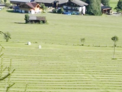 vacanza in fattoria - Art der Landwirtschaft: Milchbauernhof - Gosau - Heuernte Sommer - Schnell Palfengut