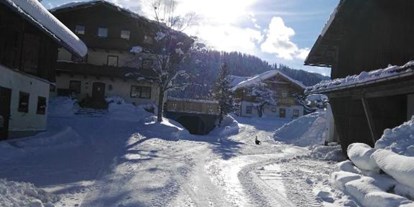 Urlaub auf dem Bauernhof - ideal für: Pärchen - Salzburg - Hofeinfahrt Winter - Schnell Palfengut