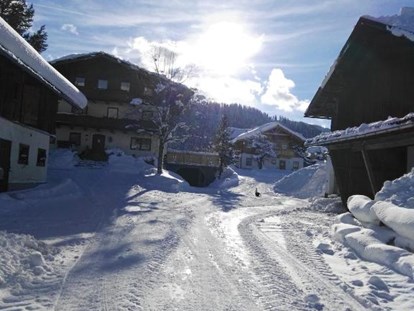 Urlaub auf dem Bauernhof - ideal für: Sportler - PLZ 5771 (Österreich) - Hofeinfahrt Winter - Schnell Palfengut