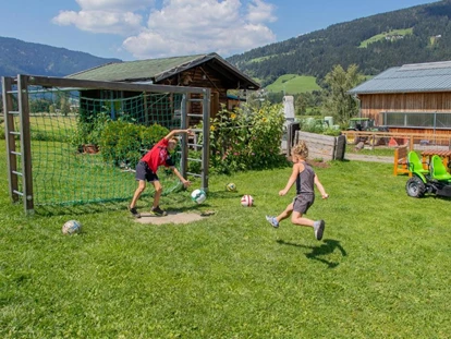 Urlaub auf dem Bauernhof - Umgebung: Urlaub in den Feldern - Steinbach (Bruck an der Großglocknerstraße) - Spielplatz Garten - Schnell Palfengut
