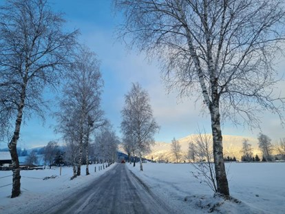 Urlaub auf dem Bauernhof - Stromanschluss: für E-Autos - Weißpriach - Winter - Schnell Palfengut