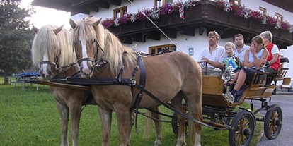 Urlaub auf dem Bauernhof - Tiere am Hof: Pferde - Salzburger Sportwelt - Walchhofer Bendlthomagut