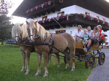 Urlaub auf dem Bauernhof - Tiere am Hof: Pferde - Weißpriach - Walchhofer Bendlthomagut
