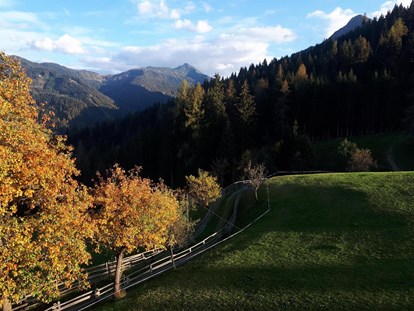 vacanza in fattoria - Ramsau am Dachstein - Bio Bergbauernhof Pertillbauer