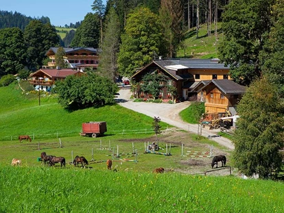 nyaralás a farmon - Tiere am Hof: Ponys - Sankt Georgen (Bruck an der Großglocknerstraße) - Familie Herzgsell Zauchtalerhof