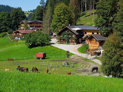 Urlaub auf dem Bauernhof - Wellness: Infrarotkabine - Unterberg (Ebenau) - Familie Herzgsell Zauchtalerhof