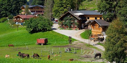 Urlaub auf dem Bauernhof - Wellness: Infrarotkabine - Salzburger Sportwelt - Familie Herzgsell Zauchtalerhof