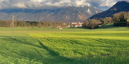 dovolená na farmě - Umgebung: Urlaub in den Bergen - Trostberg - Bernau - Schneiderhof