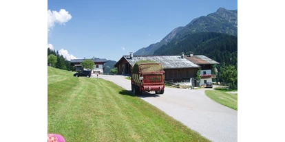 Urlaub auf dem Bauernhof - Traktor fahren - Steinbach (Bruck an der Großglocknerstraße) - Kinderbauernhof "Hinterreith"