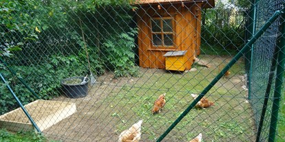 Urlaub auf dem Bauernhof - Tiere am Hof: Streicheltiere - Deutschland - Hühnerstall Ferienhof Hohe - Ferienhof Hohe