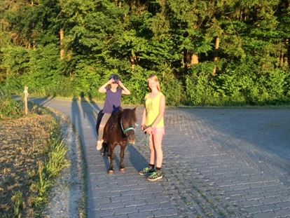 wakacje na farmie - Tiere am Hof: Streicheltiere - Ponyreiten Ferienhof Hohe - Ferienhof Hohe
