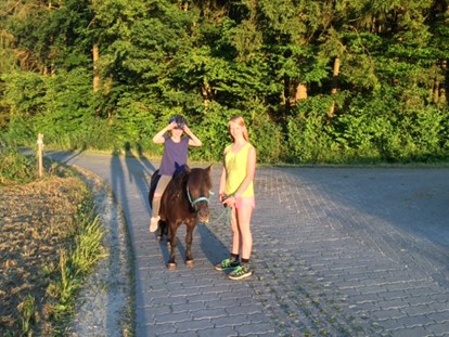 vacation on the farm - Mithilfe beim: Heuernten - Ponyreiten Ferienhof Hohe - Ferienhof Hohe