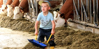 vacances à la ferme - Fahrzeuge: Traktor - Hochödt - Ederhof