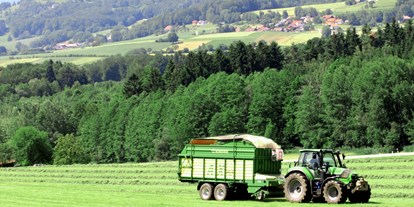 Urlaub auf dem Bauernhof - Mithilfe beim: Tiere füttern - Salzweg (Landkreis Passau) - Ederhof