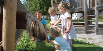 vacation on the farm - Jahreszeit: Frühlings-Urlaub - Berg (Leogang) - unser Pony Max - Wastelbauerhof