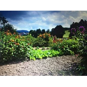 Ferme de vacances - Ferienhof Königsmühle