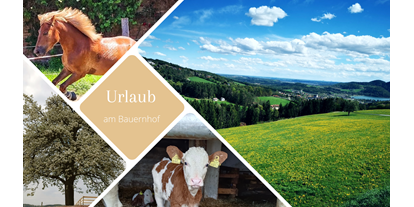Urlaub auf dem Bauernhof - ideal für: Familien - Ofenbach (Kirchberg am Wechsel) - Bauernhof Rieglsteffl 